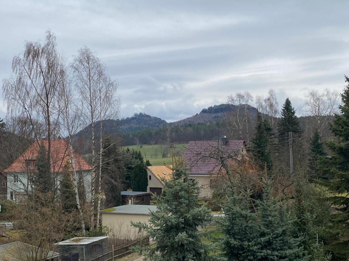 Parkhotel Margaretenhof Gohrisch Kültér fotó