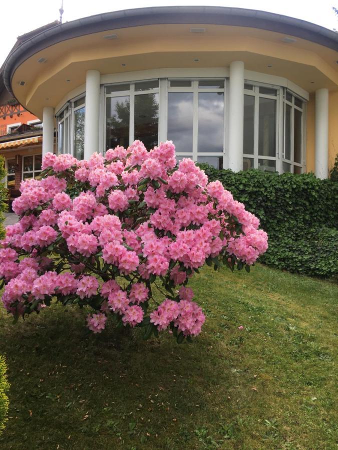 Parkhotel Margaretenhof Gohrisch Kültér fotó